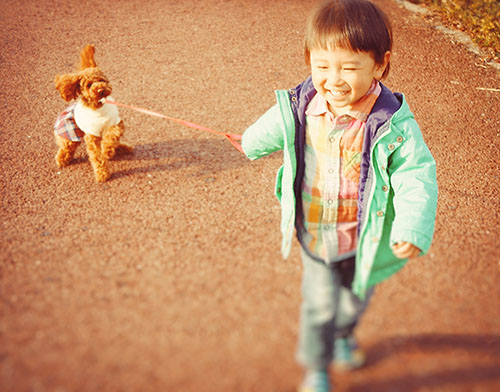 写真2