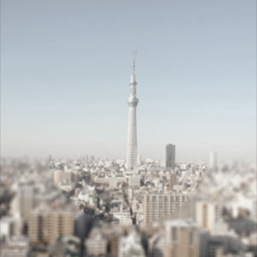 写真7